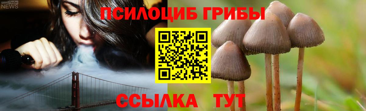 Псилоцибиновые грибы прущие грибы  Вход с VPN  Новодвинск 